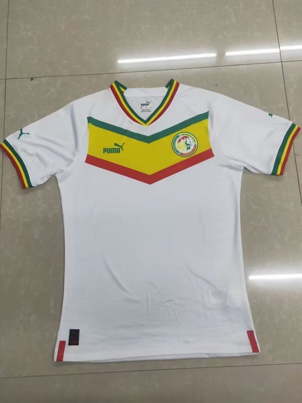 2022 Senegal home